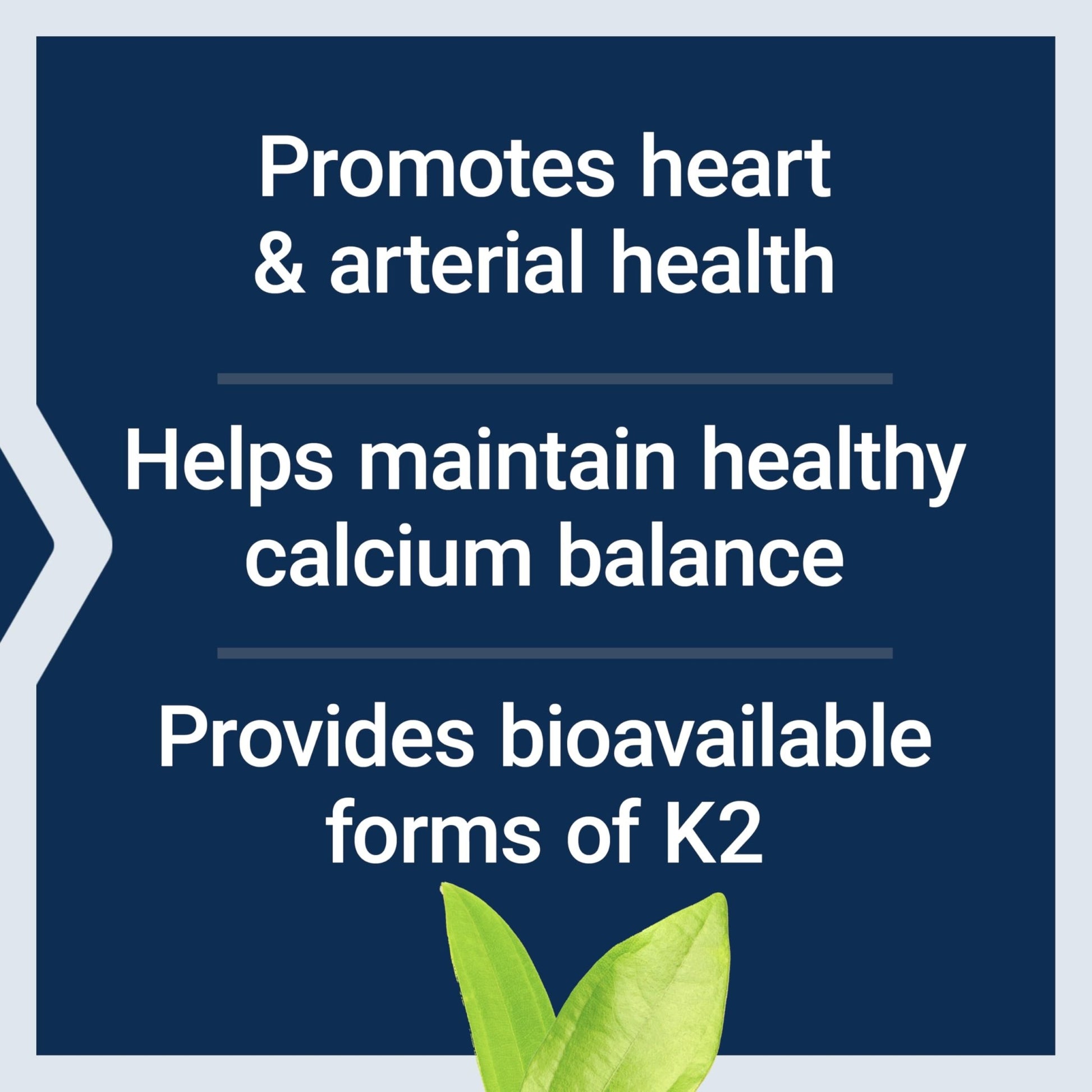 Life Extension Super K, Vitamin K Supplement, 2000 Mcg Vitamin K and 1180 Mcg Vitamin K2, Heart Health, Once-Daily, 90 Softgels - PrimeBioHealth - canada supplements