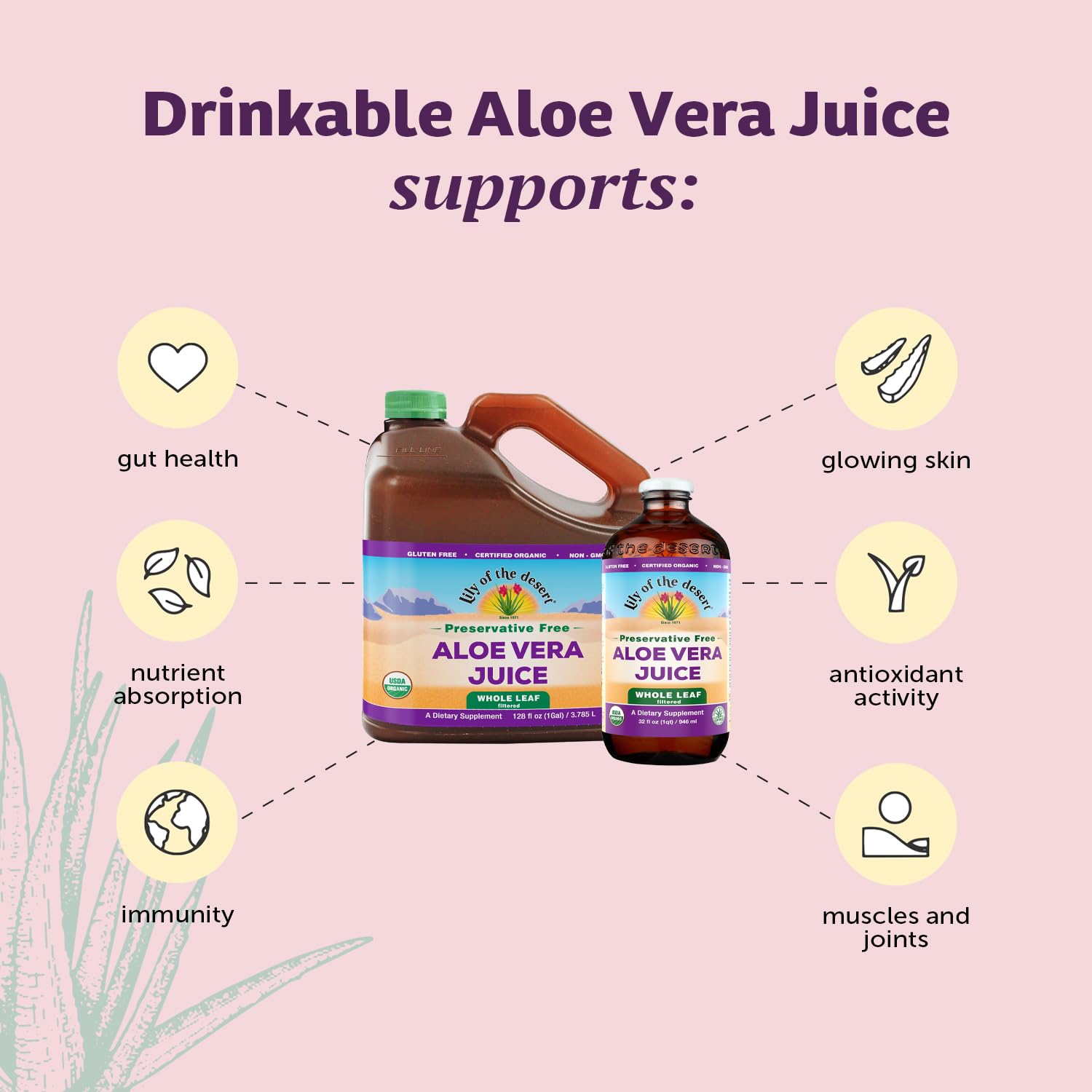 Lily of the Desert Aloe Vera Juice, Whole Leaf Filtered, Organic & Preservative Free – Natural Vitamins, Digestive Enzymes for Gut Health, - PrimeBioHealth - canada supplements