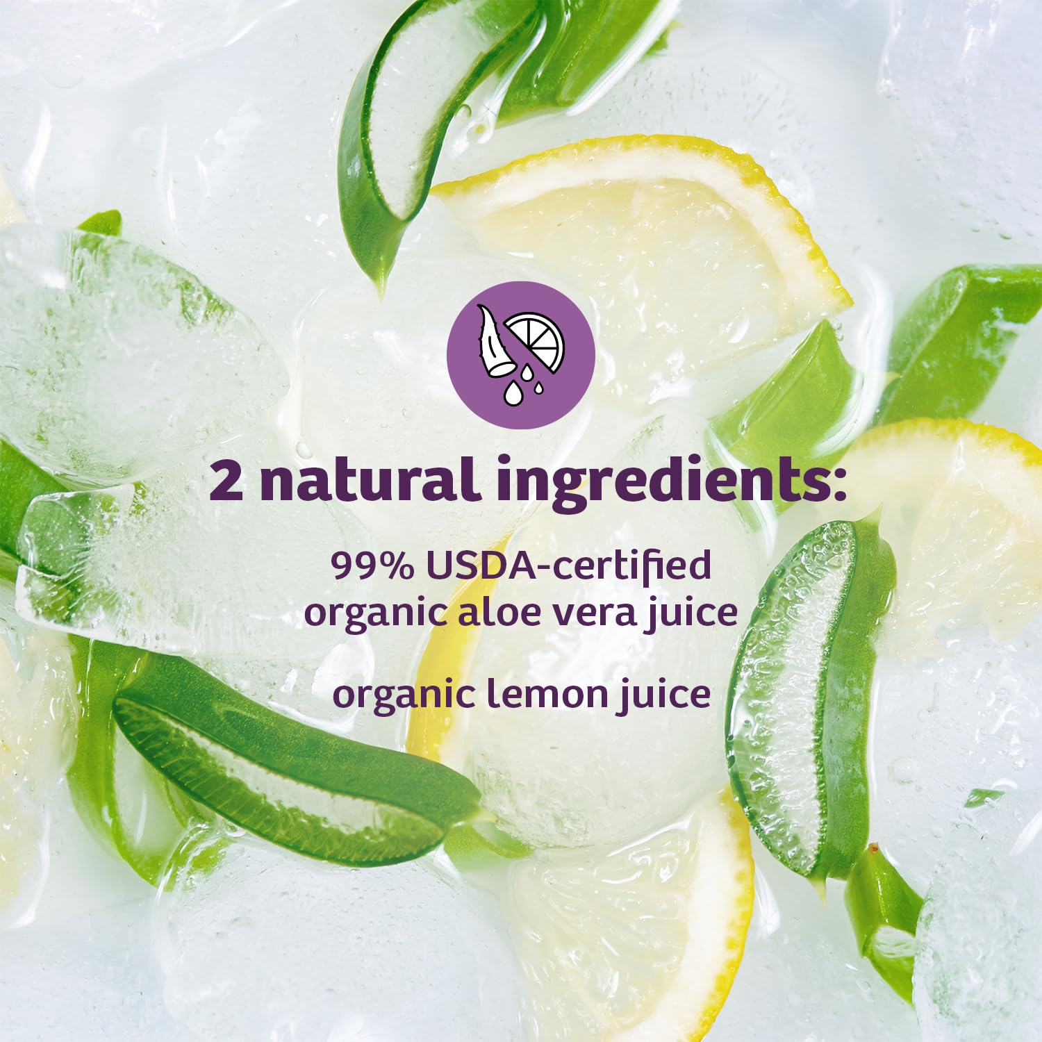Lily of the Desert Aloe Vera Juice, Whole Leaf Filtered, Organic & Preservative Free – Natural Vitamins, Digestive Enzymes for Gut Health, - PrimeBioHealth - canada supplements