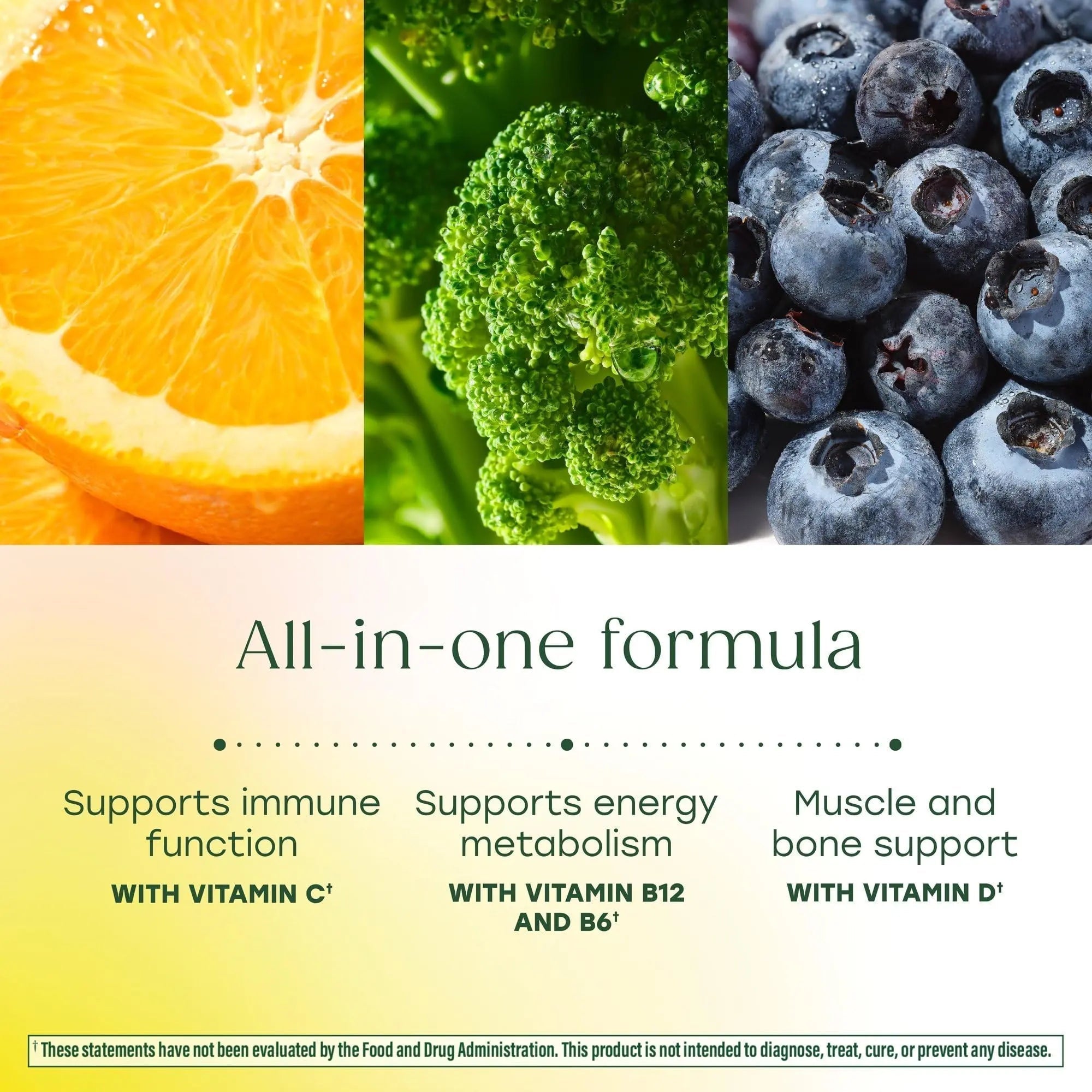 MegaFood One Daily Mens Multivitamins - Multivitamin for Men - Vitamin C, Vitamin D3 & Vitamin B12 - Muscle, Energy Metabolism & Immune Support - PrimeBioHealth - canada supplements