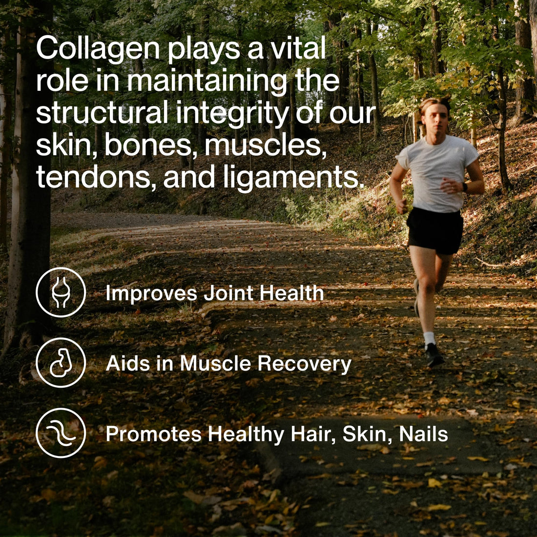 Momentous Grass-Fed Collagen Peptides Powder - Collagen Protein Powder with Fortigel & Vitamin C for Hair, Skin, Nails, & Joint Health Support - PrimeBioHealth - canada supplements