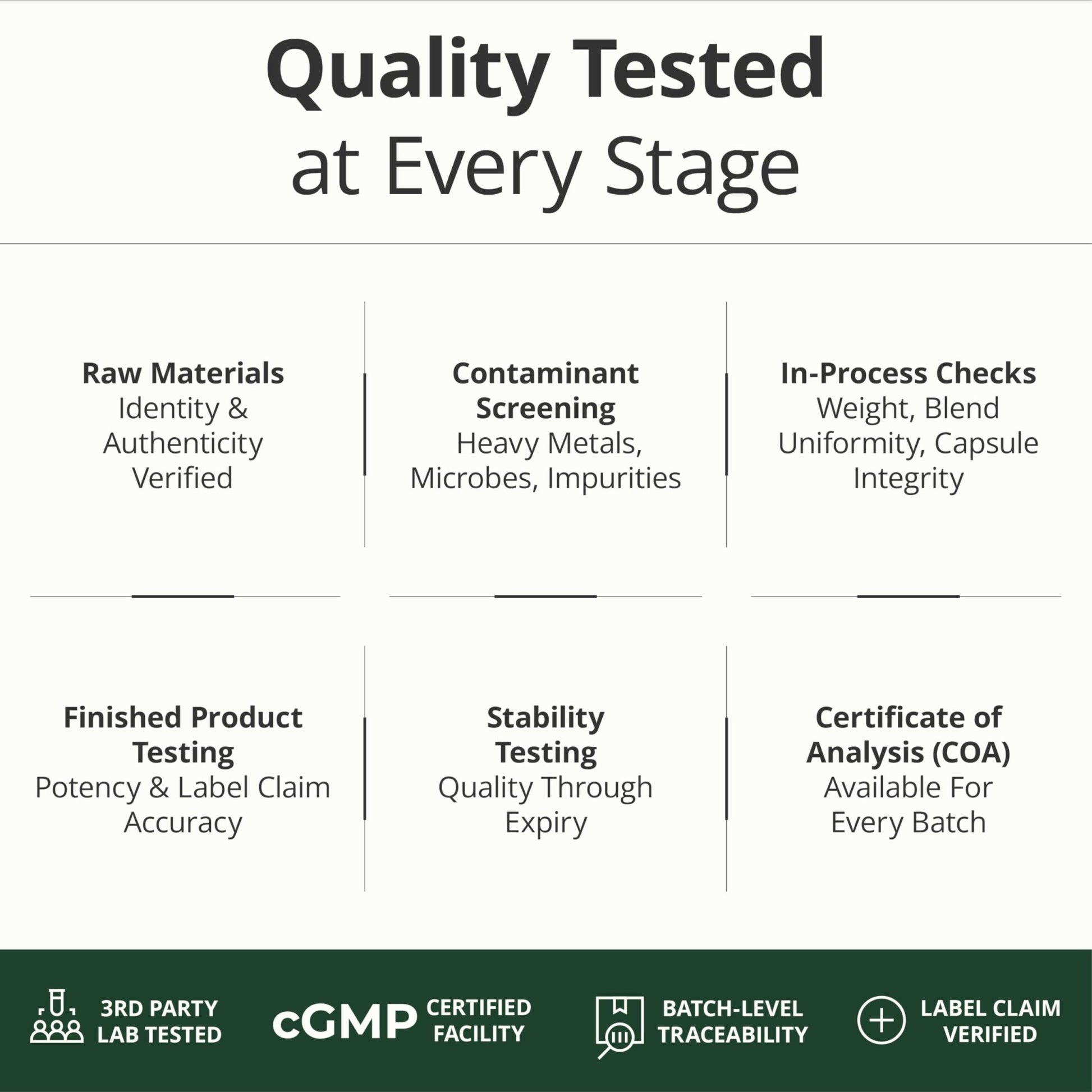 Multivitamin for Men with Methylated Vitamins and Chelated Minerals for Energy, Focus and Immune Health – Premium Daily Mens - PrimeBioHealth - canada supplements