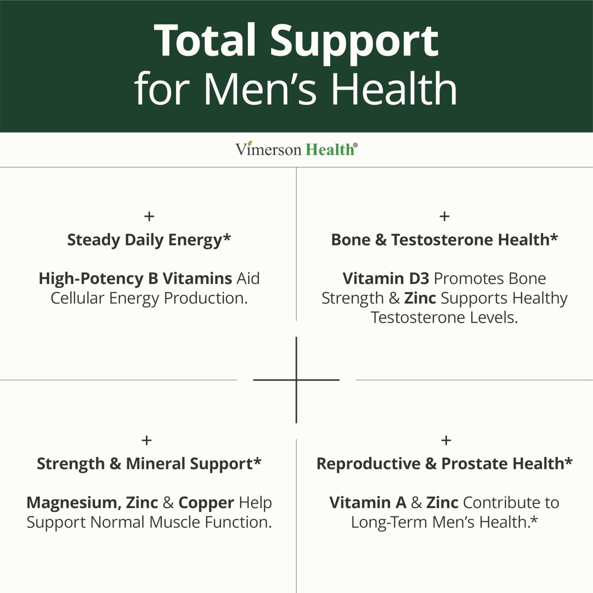 Multivitamin for Men with Methylated Vitamins and Chelated Minerals for Energy, Focus and Immune Health – Premium Daily Mens - PrimeBioHealth - canada supplements