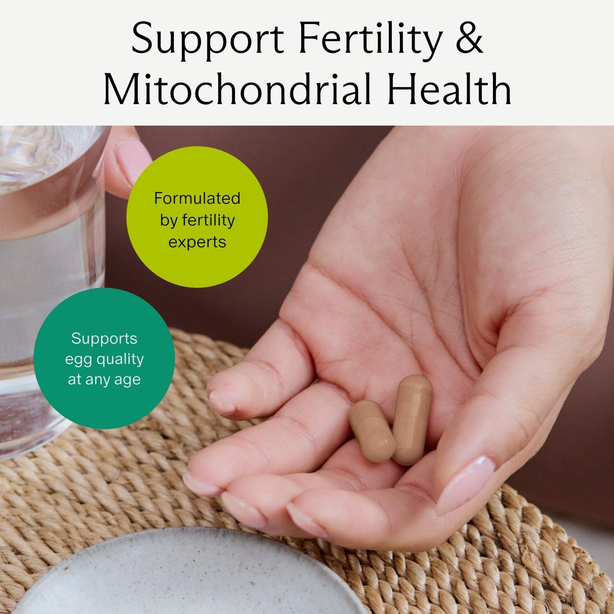 Needed. Egg Quality Support - Optimally Formulated Antioxidants Supplement for Egg Quality - Fertility Support - Fertility Supplement for Women - PrimeBioHealth - canada supplements