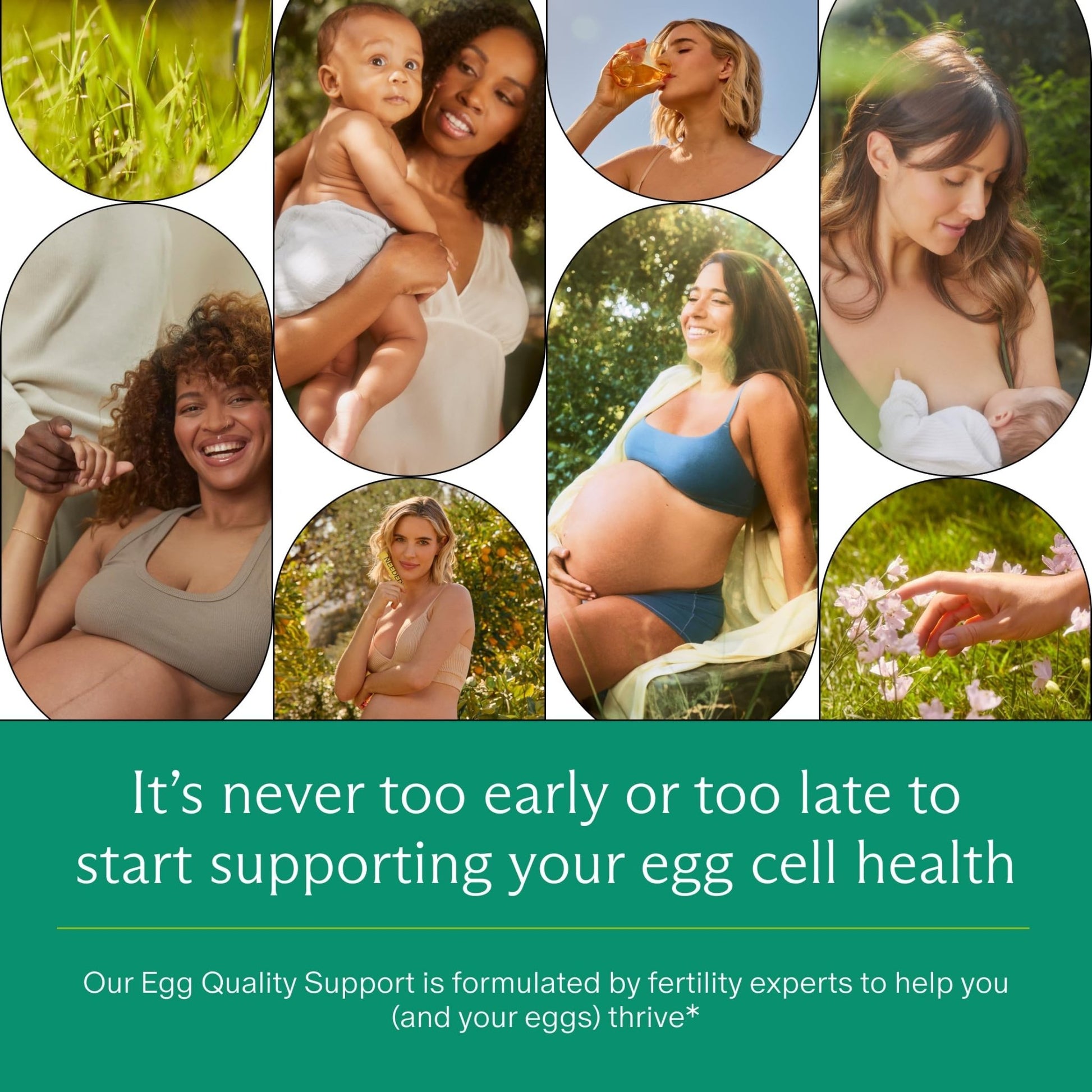Needed. Egg Quality Support - Optimally Formulated Antioxidants Supplement for Egg Quality - Fertility Support - Fertility Supplement for Women - PrimeBioHealth - canada supplements