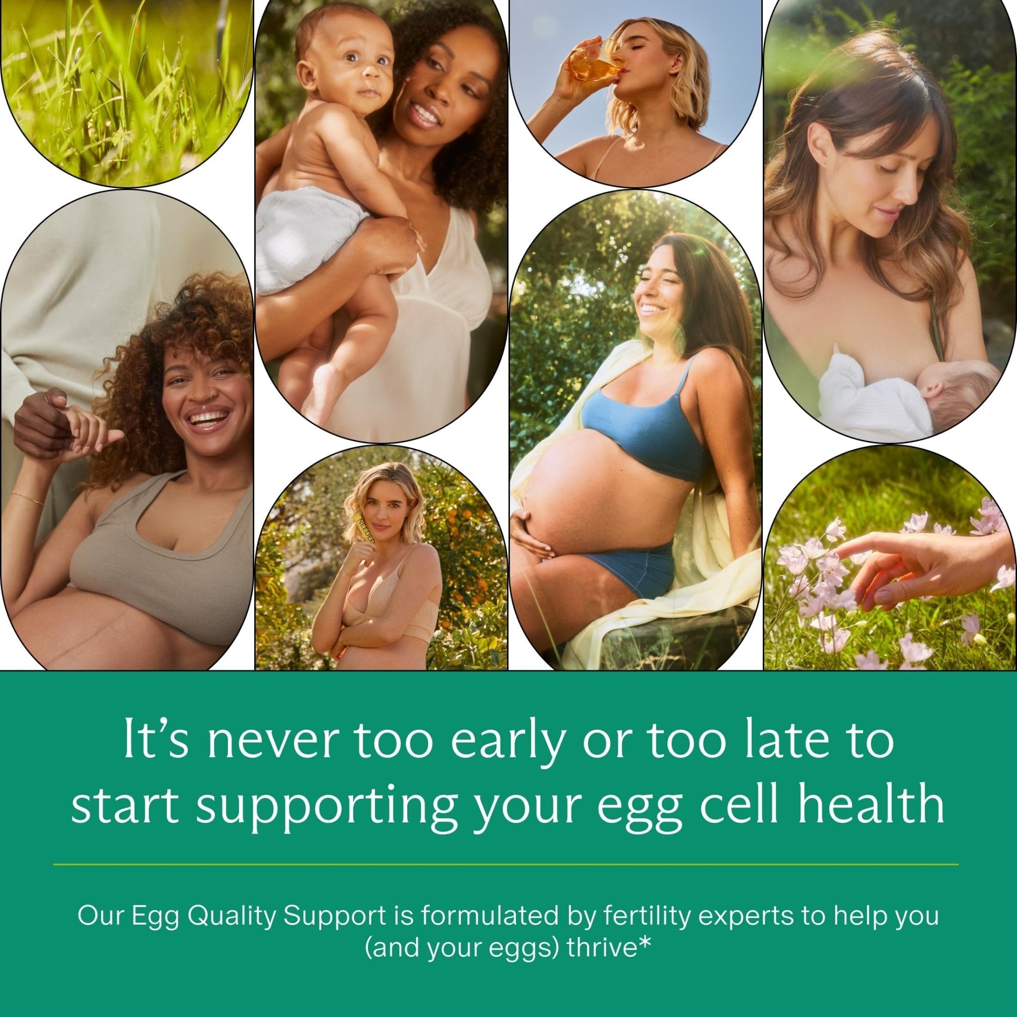 Needed. Egg Quality Support - Optimally Formulated Antioxidants Supplement for Egg Quality - Fertility Support - Fertility Supplement for Women - PrimeBioHealth - canada supplements