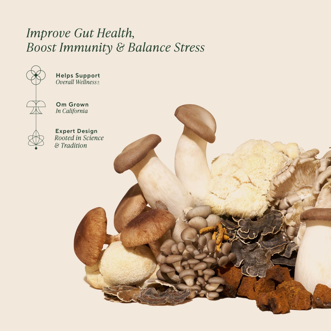 Om Master Blend Mushroom Powder – Organic Mushroom Supplement with 10 Mushrooms and Ashwagandha - Support Immunity, Gut Health & Stress Relief, - PrimeBioHealth - canada supplements