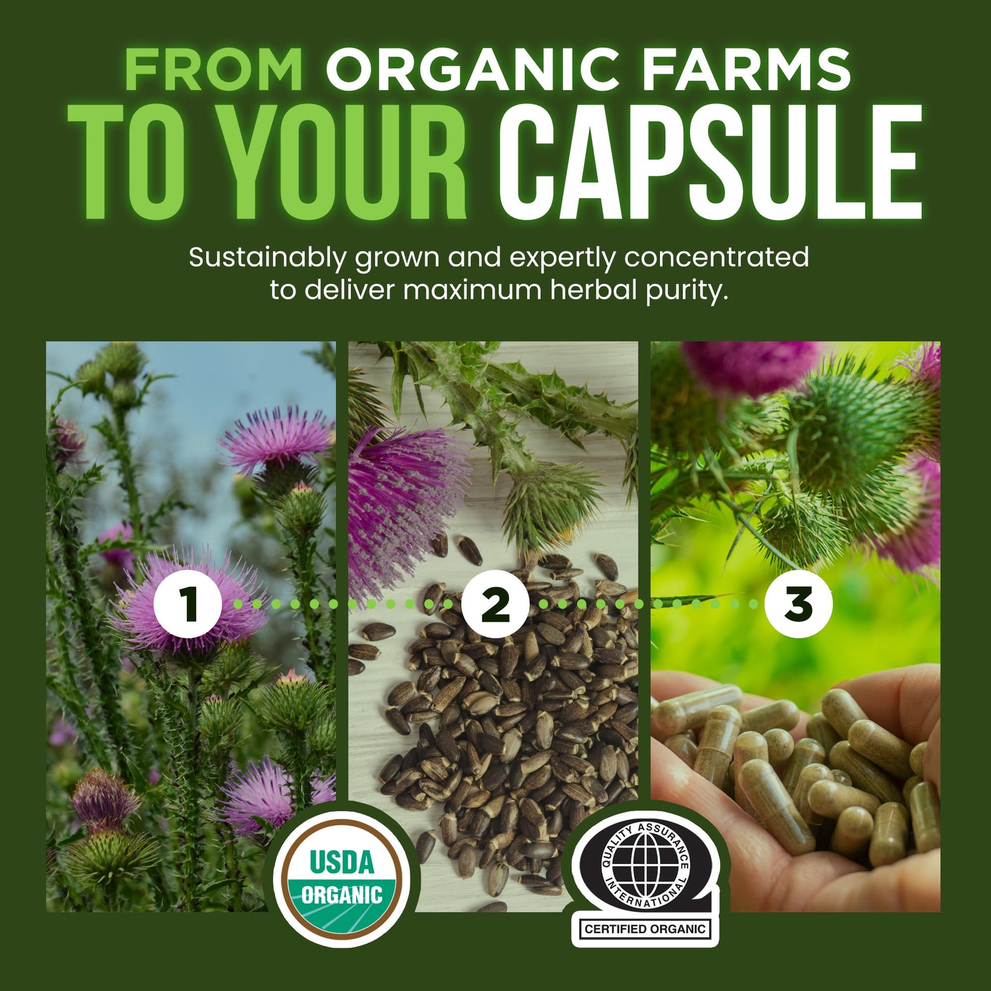 OmniBiotics Organic Milk Thistle Supplement 1500mg – 4X Concentrated Extract with Silymarin – High Potency Liver Detox & Support - PrimeBioHealth - canada supplements