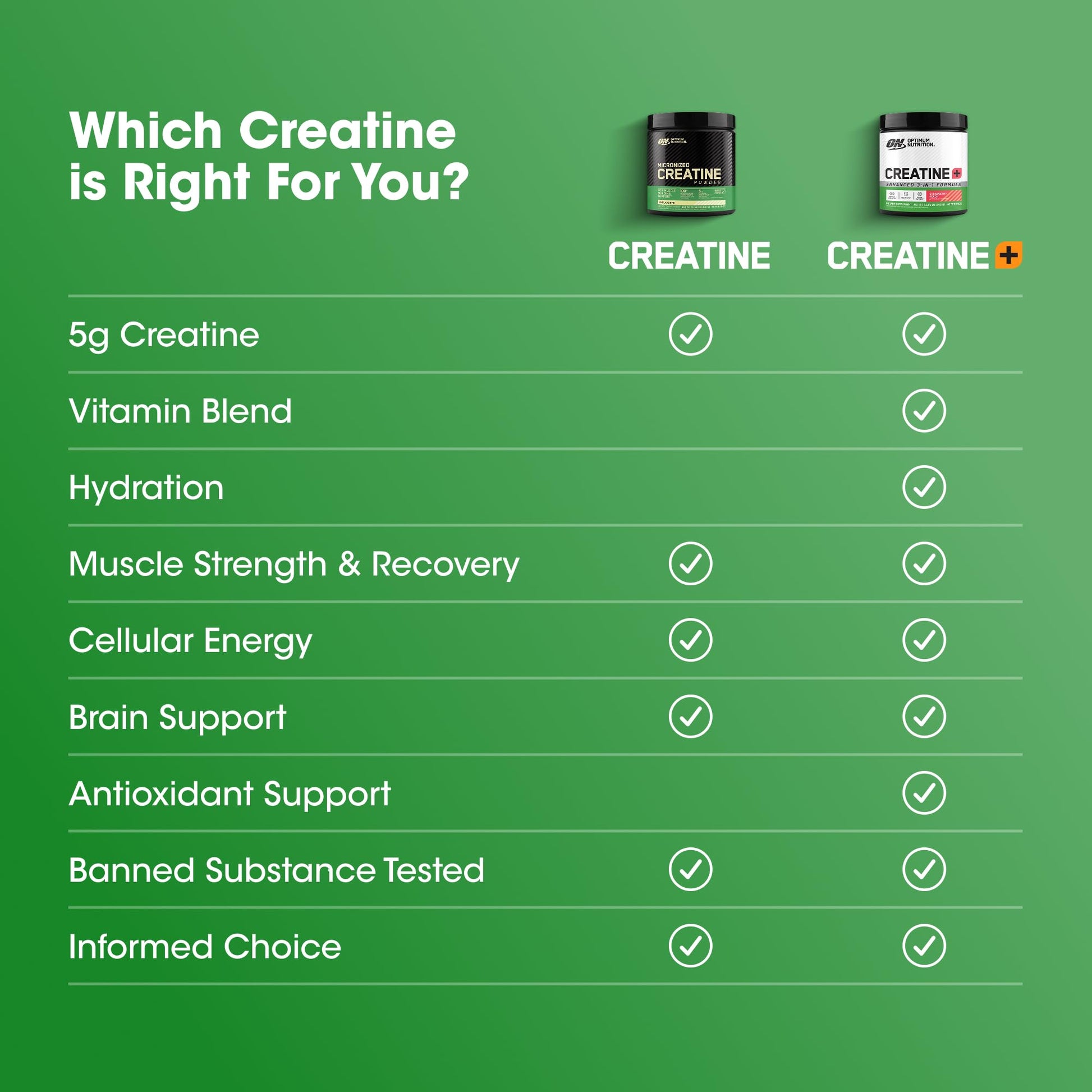 Optimum Nutrition Creatine Monohydrate Plus Powder, Strawberry Peach Flavored Creatine Performance Blend, with Electrolytes for Hydration, Added Vitamins - PrimeBioHealth - canada supplements