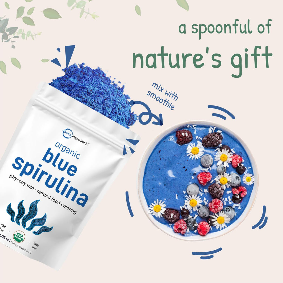 Organic Blue Spirulina Powder (Phycocyanin Extract), 30 Servings - No Fishy Smell, 100% Vegan Protein from Blue-Green Algae, Natural Luminous Food - PrimeBioHealth - canada supplements