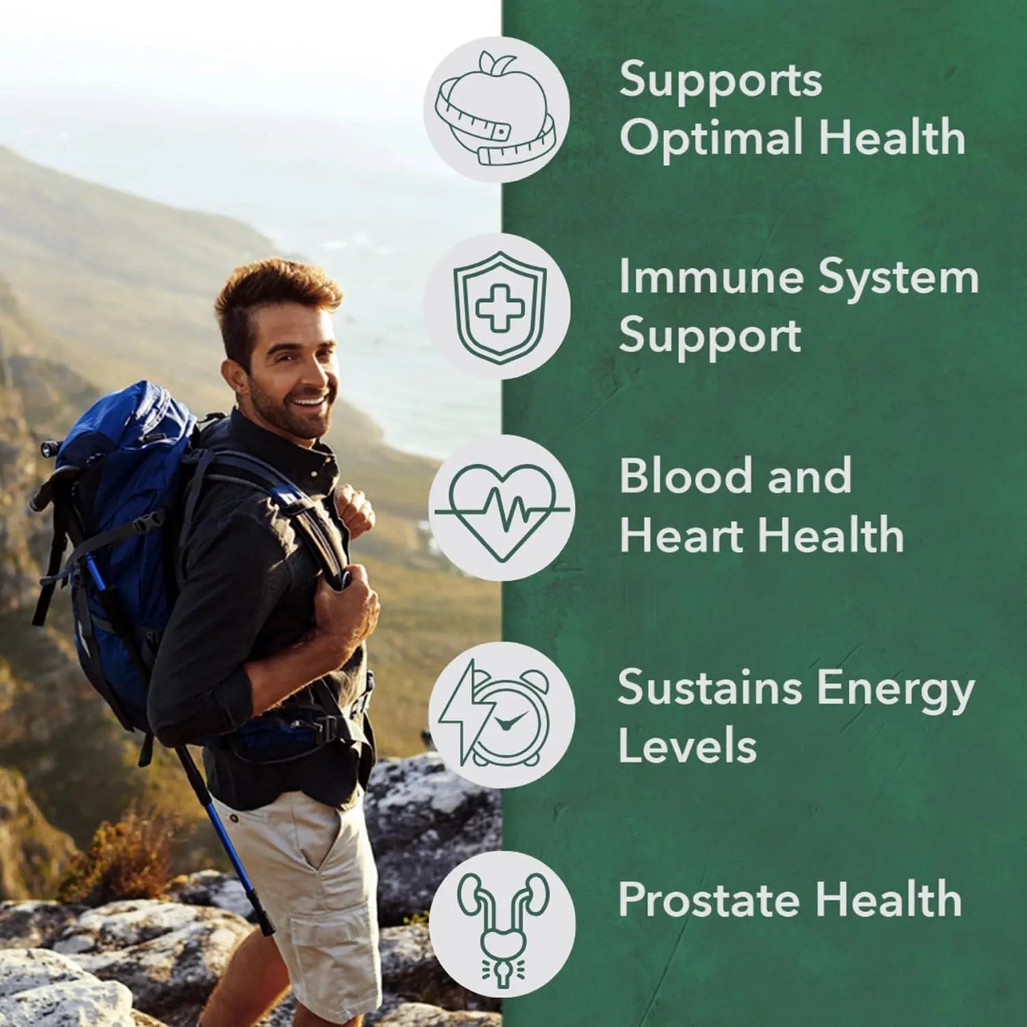 PlantFusion Organic Multivitamin for Men - One Daily Whole Food Blend Men's Multivitamin - Vegan, Non-GMO - PrimeBioHealth - canada supplements