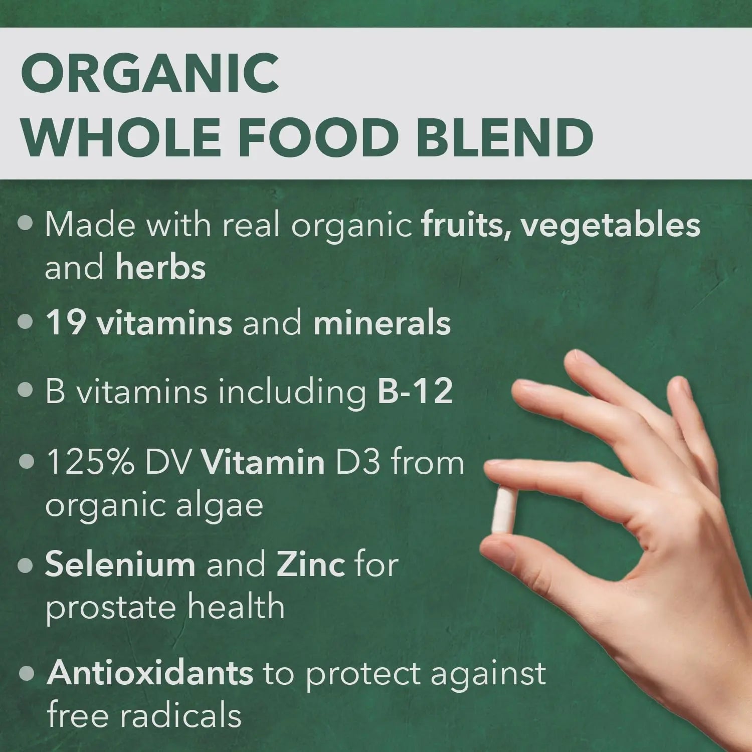 PlantFusion Organic Multivitamin for Men - One Daily Whole Food Blend Men's Multivitamin - Vegan, Non-GMO - PrimeBioHealth - canada supplements