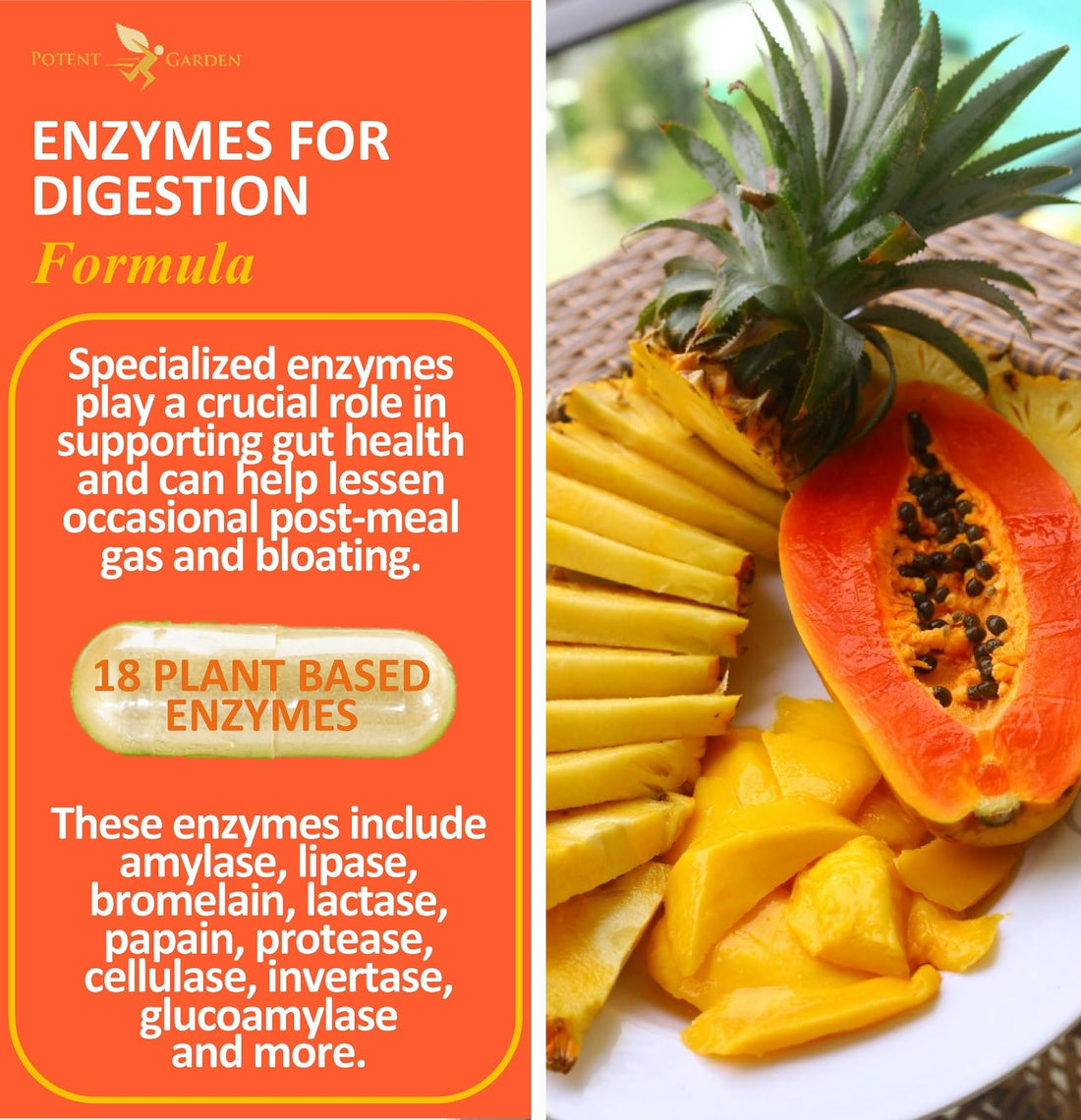 Potent Garden Digestive Enzymes -18 Plant Based Enzymes with amylase lipase bromelain Protease lactase & Other Enzymes - One Pre Meal Pill Supports Healthy - PrimeBioHealth - canada supplements