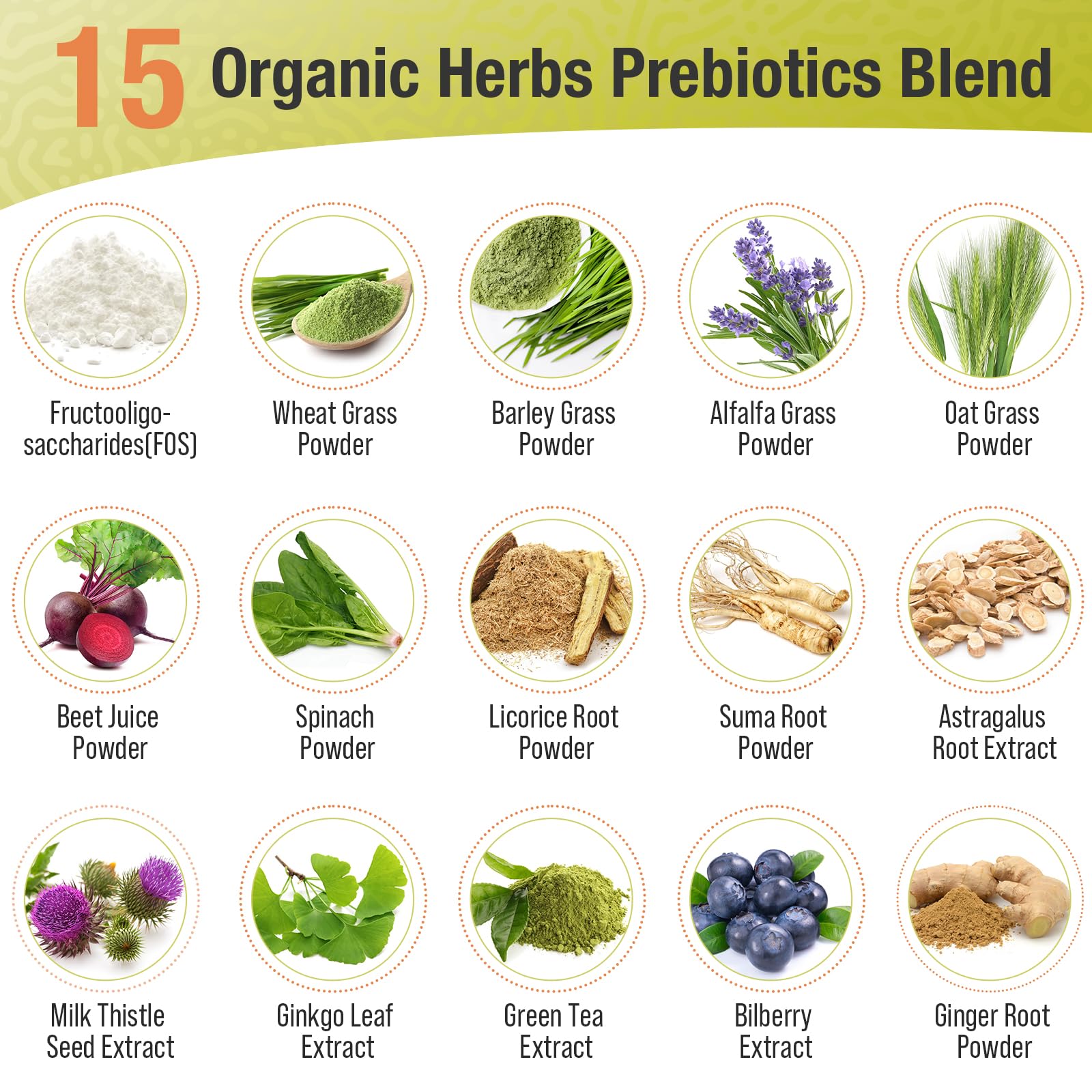 Probiotics for Women & Men - 300 Billion CFU, 24 Strains + 15 Organic Herbs Prebiotics Blend, Daily Probiotic for Digestive Health, Immune, Gut, Bloating - PrimeBioHealth - canada supplements