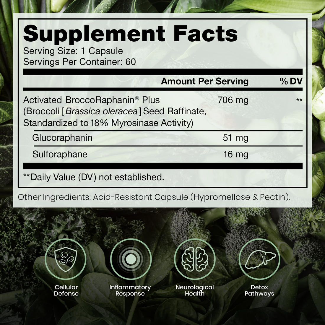 Pure Therapro Rx Extra Strength Sulforaphane Supplement from Broccoli Seed Extract | Made in USA | ONE Capsule Per Serving (Other Brands are 2 Caps!) | 3rd Party Tested | OncoProtect ES - PrimeBioHealth - canada supplements