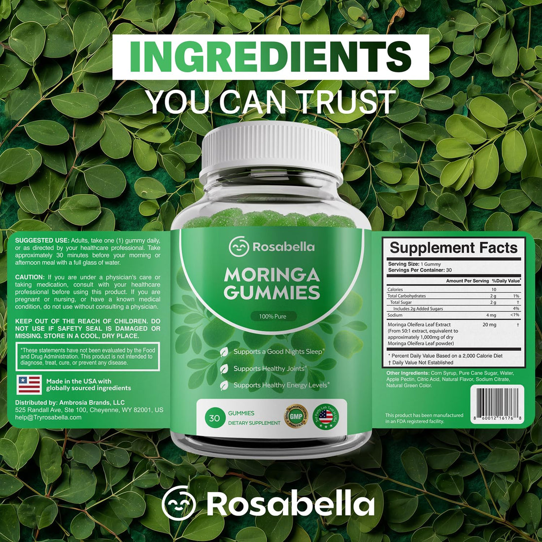 Rosabella Moringa Gummies – Moringa Leaf Extract 1000mg Equivalent Per Serving – Natural Energy & Balance – Non-GMO, Gluten-Free Superfood - PrimeBioHealth - canada supplements
