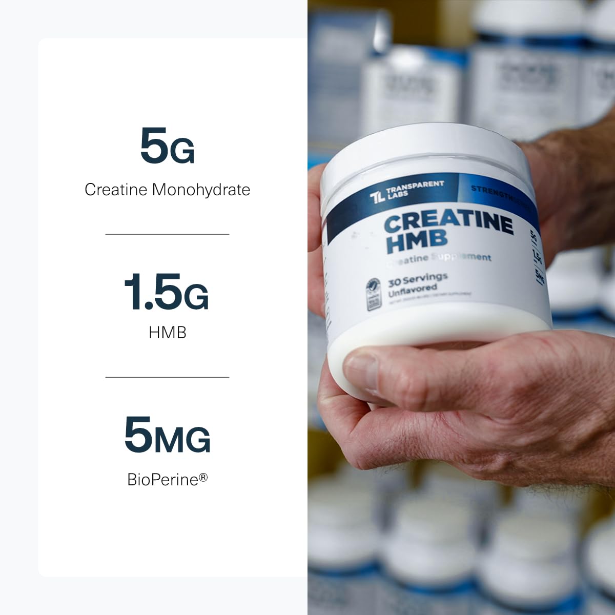 Transparent Labs Creatine HMB - Creatine Monohydrate Powder with HMB for Muscle Growth, Increased Strength, Enhanced Energy Output - PrimeBioHealth - canada supplements