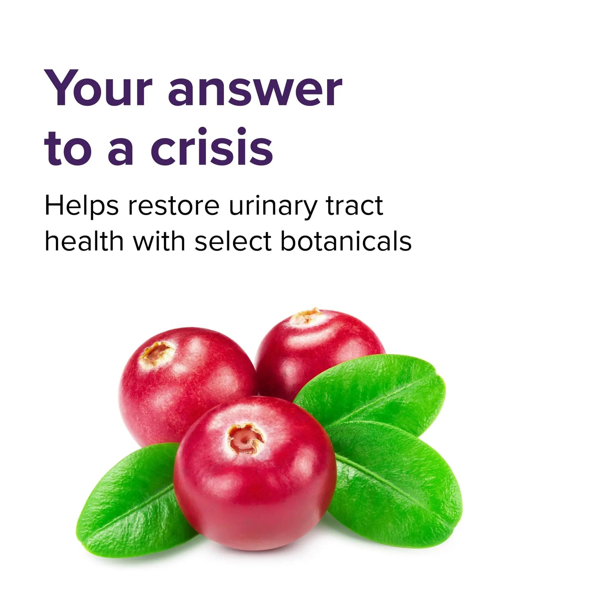 Vibrant Health, U.T. Vibrance Stick Packs, Crisis Intervention for Urinary Tract Health, 10 Servings - PrimeBioHealth - canada supplements