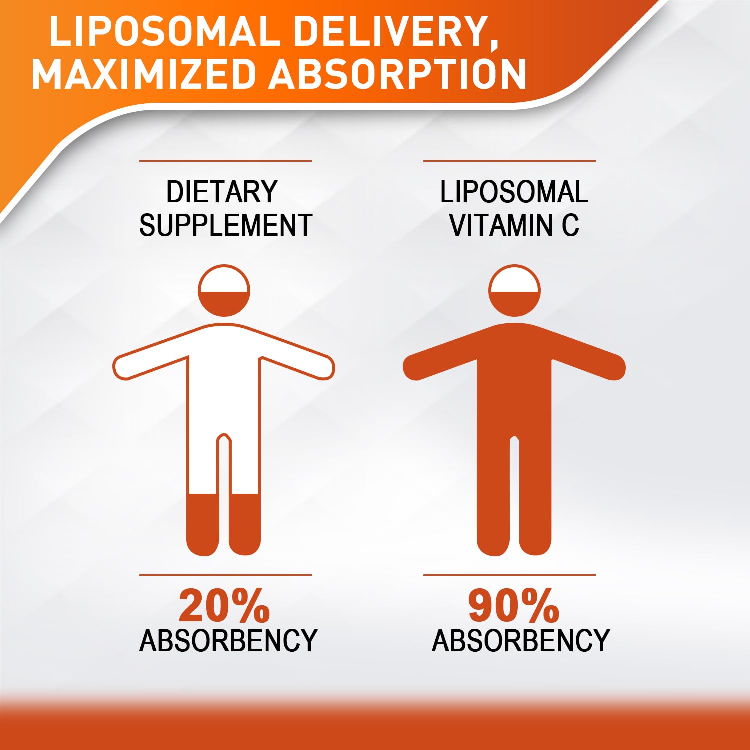 Vitablosom Liposomal Vitamin C 2000mg Liquid for Adults, High Absorption VIT C, Maximize Vitamin C, Immune System & Antioxidant Support, 60ML (2 Bottle) - PrimeBioHealth - canada supplements