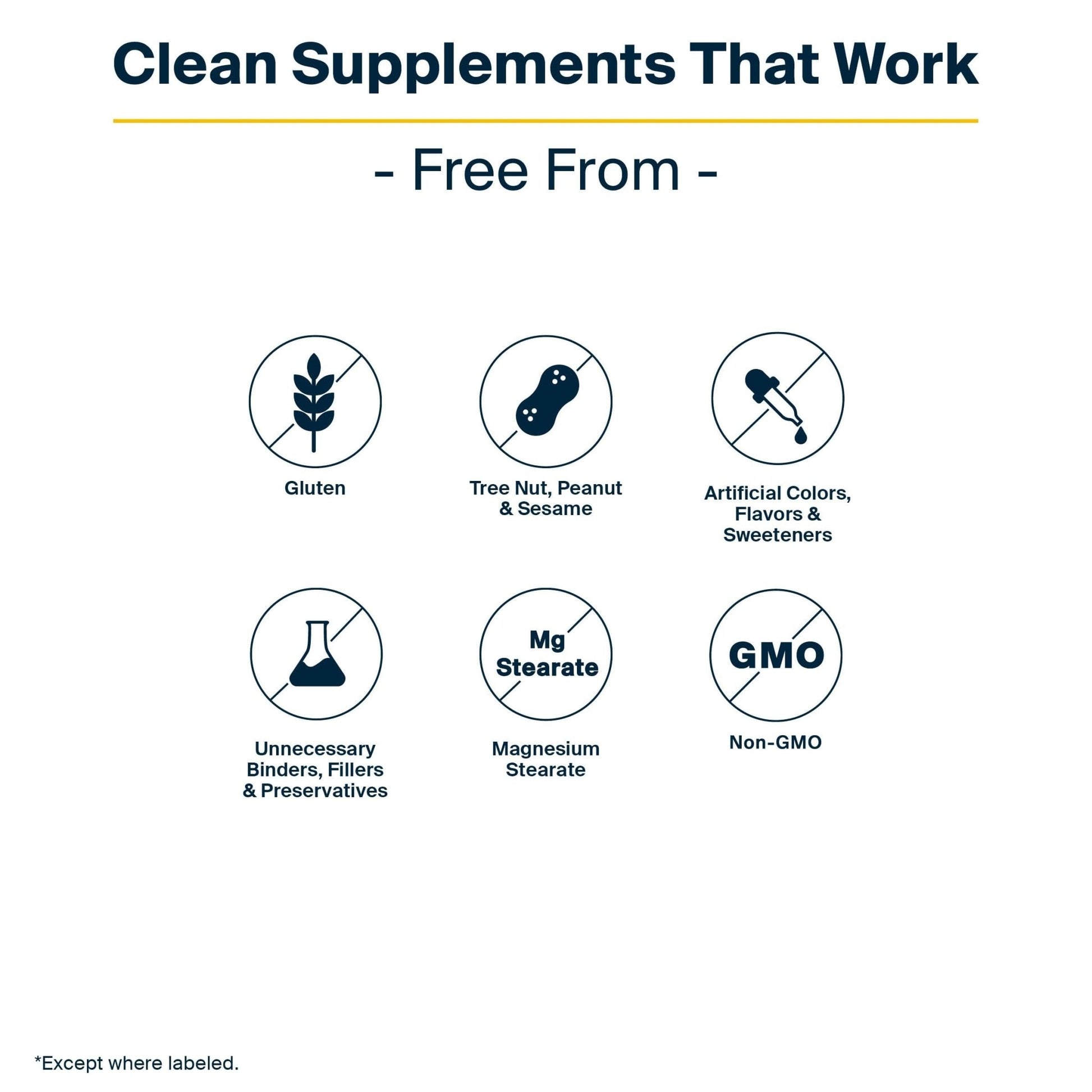 Vital Nutrients GI Repair Powder - Leaky Gut Powder with L Glutamine and Zinc - Digestive Enzyme Supplement to Support Gut Health - PrimeBioHealth - canada supplements