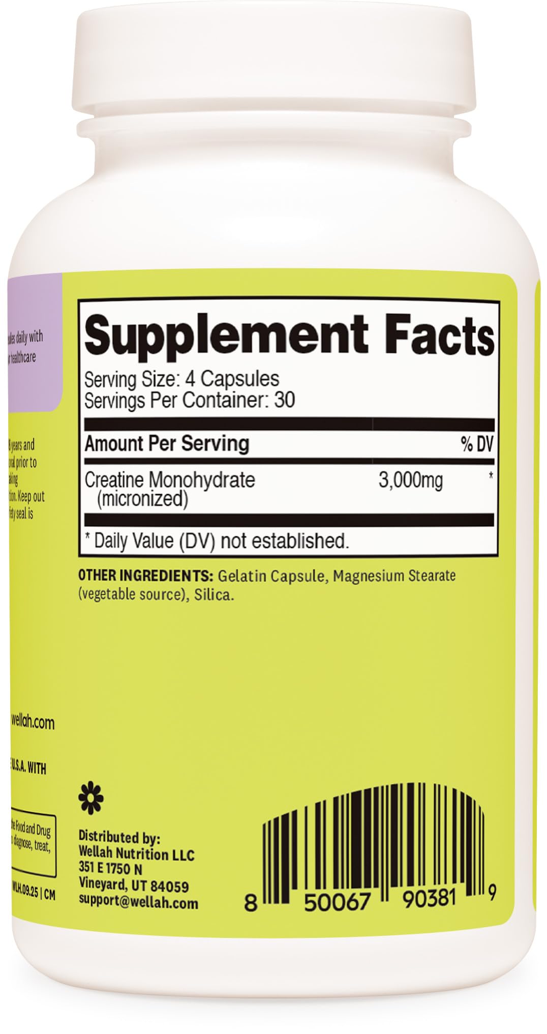 Wellah Creatine Monohydrate Capsules (3000 mg) 120 Capsules - Micronized Creatine, 30 Servings - PrimeBioHealth - canada supplements