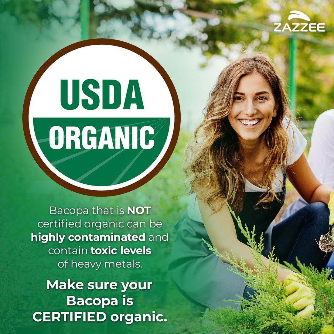 Zazzee USDA Organic Bacopa 30:1 Extract, 50% Bacosides, 120 Vegan Capsules, 4 Month Supply, Bacopa Monnieri, Cognitive, Brain & Memory Support, Non-GMO, Organic Herbal Supplement, Made in the USA - PrimeBioHealth - canada supplements